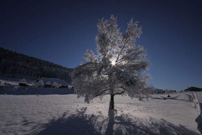 Lac de Joux - 022